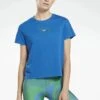 Reebok Workout Ready Supremium - Camiseta Estampada - Vector Blue 2 Reebok Workout Ready Supremium - Camiseta Estampada - Vector Blue -ADIDAS Moda Tienda de ventas 20cd64b3564e447ea91a669c9756ee59