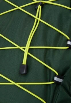 The North Face Borealis Classic Unisex - Mochila - Pine Needle/Sulphur Spring Green/Black -ADIDAS Moda Tienda de ventas a55ea663c49d4b0a9014cd32eb069a88