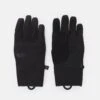 The North Face Apex Insulated Etip Glove Unisex - Guantes - Black -ADIDAS Moda Tienda de ventas c00b4cb321174df8b955e32daa6c7b0d